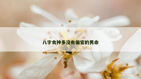 八字食神多沒有偏官的男命