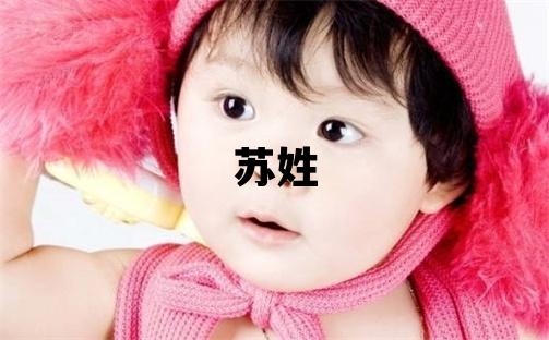 蘇姓有氣質的男寶寶名字