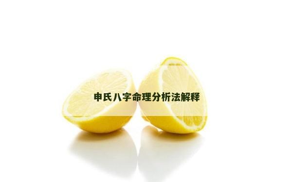 申氏八字命理分析法解釋