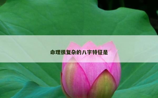 命理很復雜的八字特征是