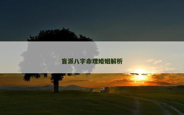 盲派八字命理婚姻解析 盲派八字命理婚姻解析