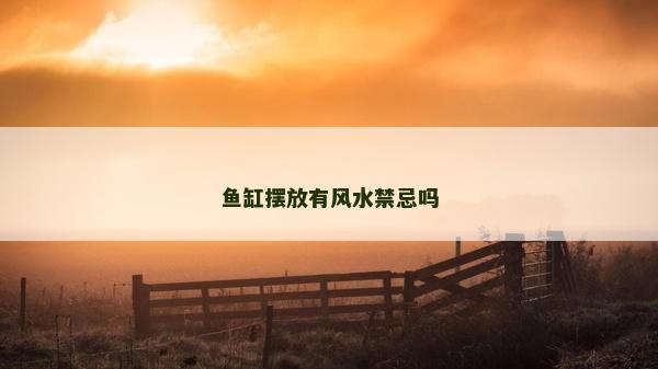 魚缸擺放有風(fēng)水禁忌嗎