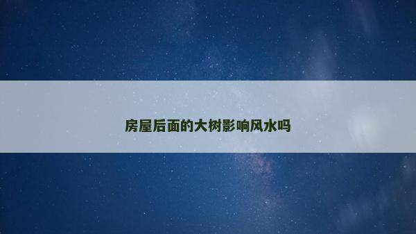 房屋后面的大樹影響風水嗎