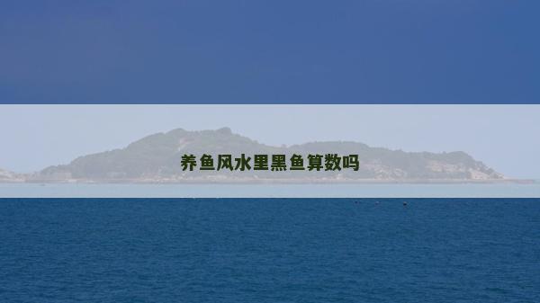 養魚風水里黑魚算數嗎