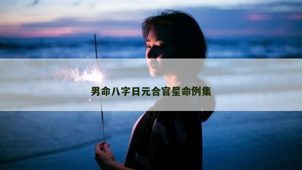 男命八字日元合官星命例集 男命八字日元合官星命例集