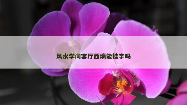 風(fēng)水學(xué)問客廳西墻能掛字嗎