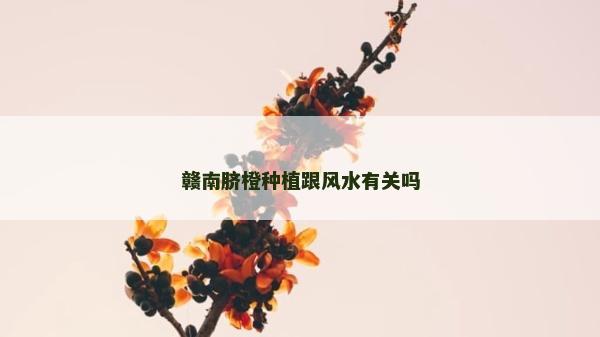 贛南臍橙種植跟風水有關嗎