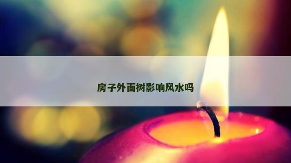 房子外面樹影響風(fēng)水嗎
