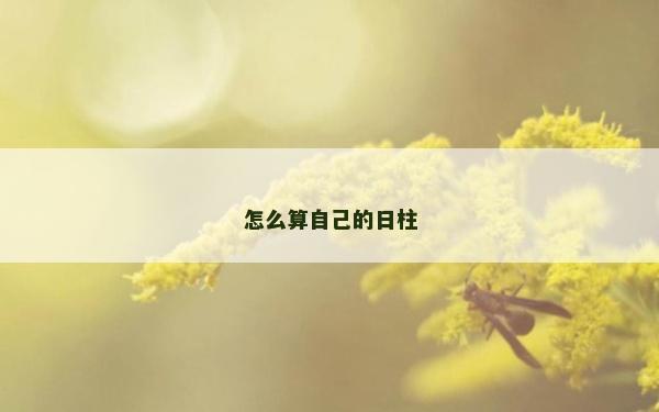 怎么算自己的日柱