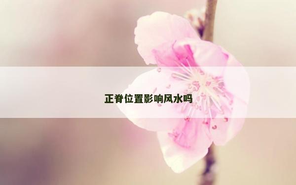 正脊位置影響風水嗎