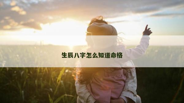 生辰八字怎么知道命格