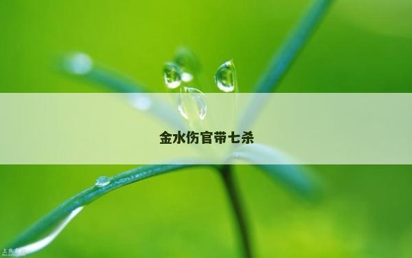 金水傷官帶七殺