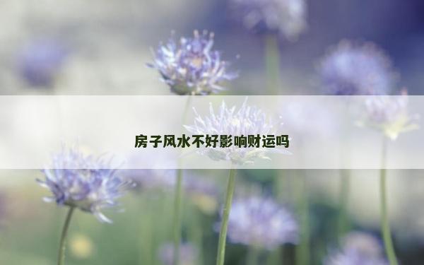 房子風水不好影響財運嗎