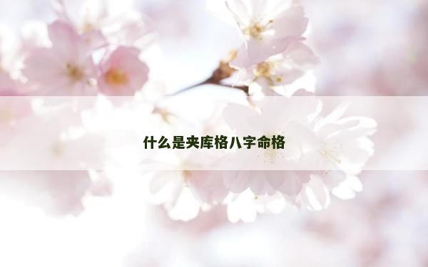 什么是夾庫格八字命格