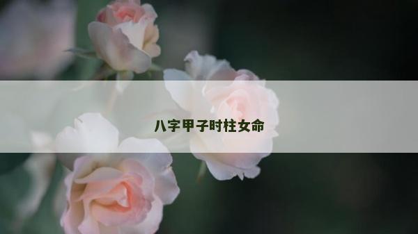 八字甲子時(shí)柱女命