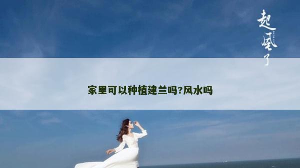 家里可以種植建蘭嗎?風水嗎