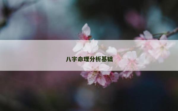 八字命理分析基礎