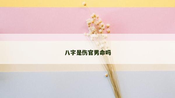 八字是傷官男命嗎