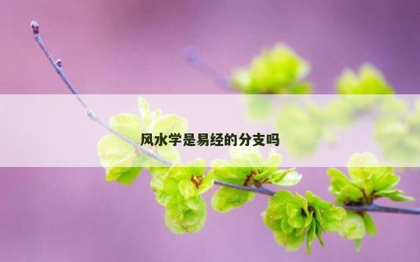 風水學是易經的分支嗎