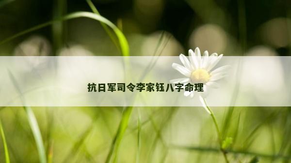抗日軍司令李家鈺八字命理