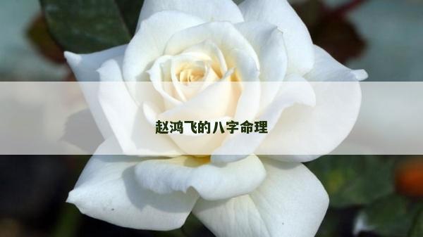 趙鴻飛的八字命理