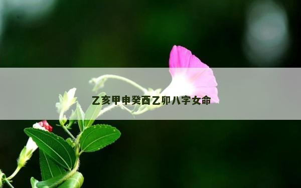 乙亥甲申癸酉乙卯八字女命