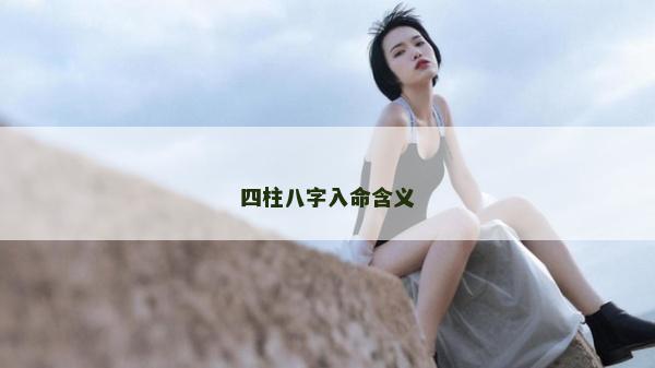 四柱八字入命含義 四柱八字入命含義