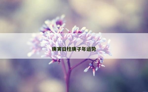 庚寅日柱庚子年運勢