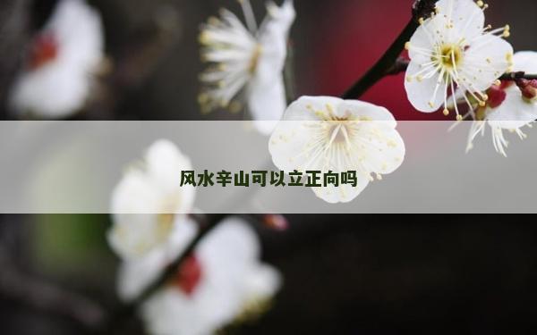 風水辛山可以立正向嗎