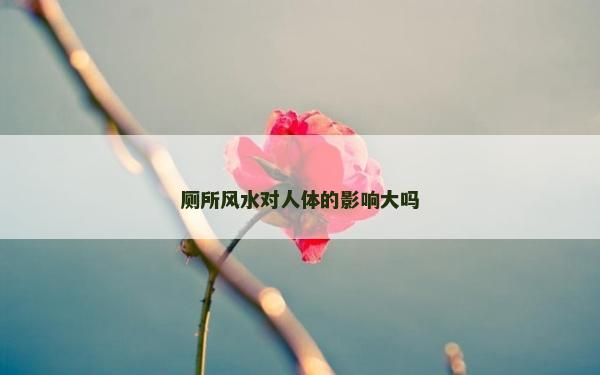 廁所風水對人體的影響大嗎