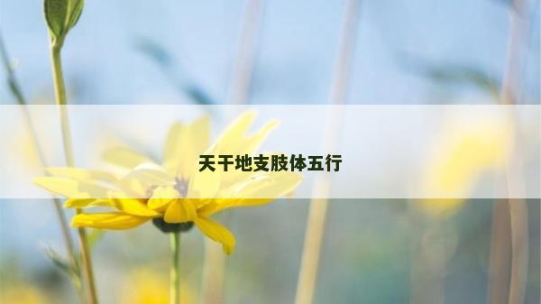 天干地支肢體五行