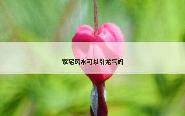 家宅風水可以引龍氣嗎