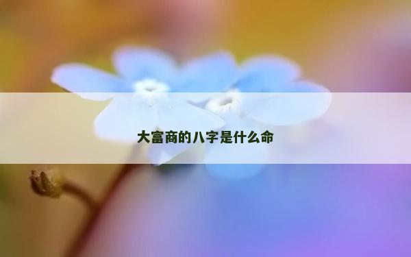 大富商的八字是什么命