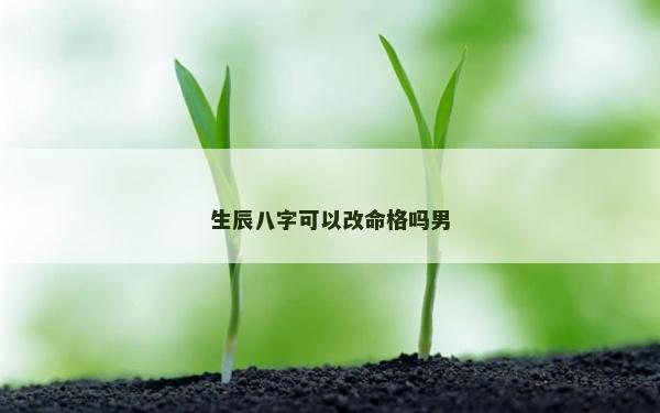 生辰八字可以改命格嗎男
