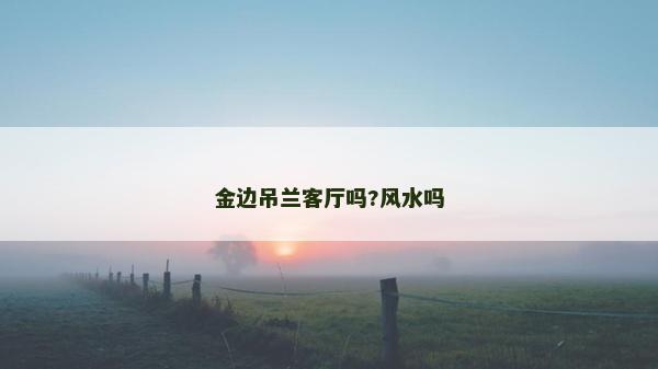金邊吊蘭客廳嗎?風水嗎