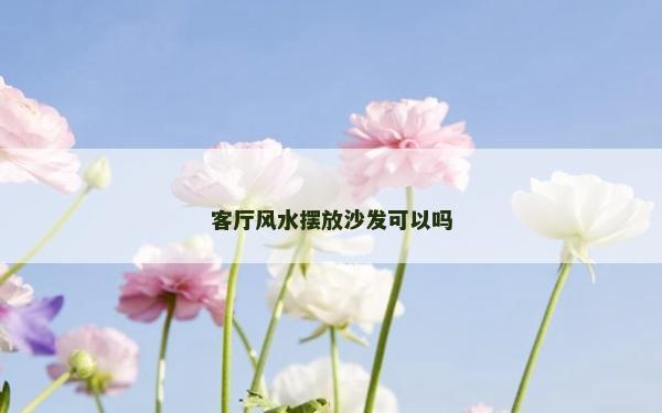客廳風水擺放沙發可以嗎