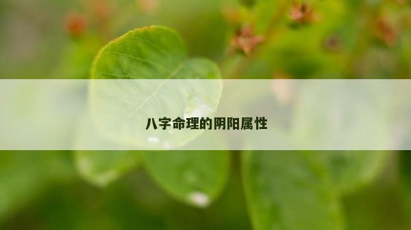 八字命理的陰陽(yáng)屬性