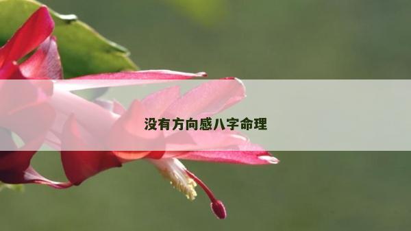 沒有方向感八字命理