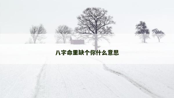 八字命里缺個你什么意思