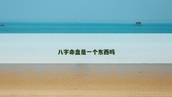 八字命盤是一個東西嗎