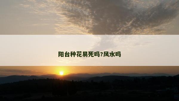 陽臺(tái)種花易死嗎?風(fēng)水嗎