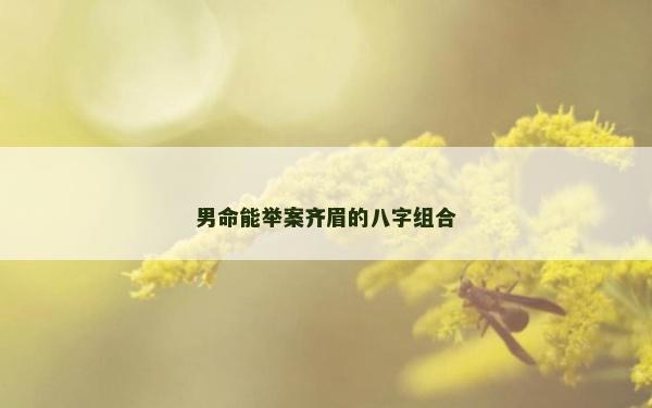 男命能舉案齊眉的八字組合