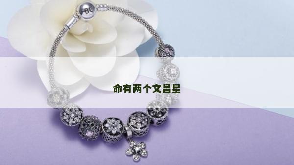 命有兩個文昌星