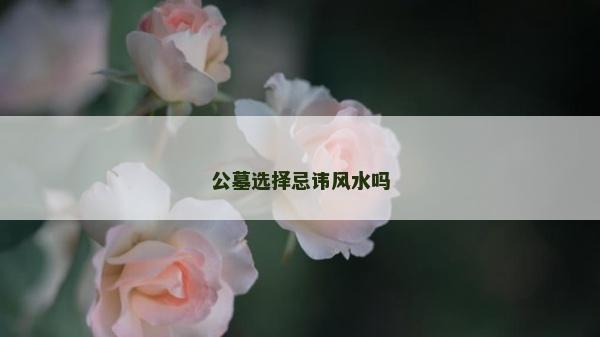 公墓選擇忌諱風(fēng)水嗎