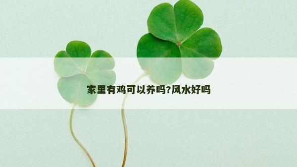 家里有雞可以養(yǎng)嗎?風(fēng)水好嗎