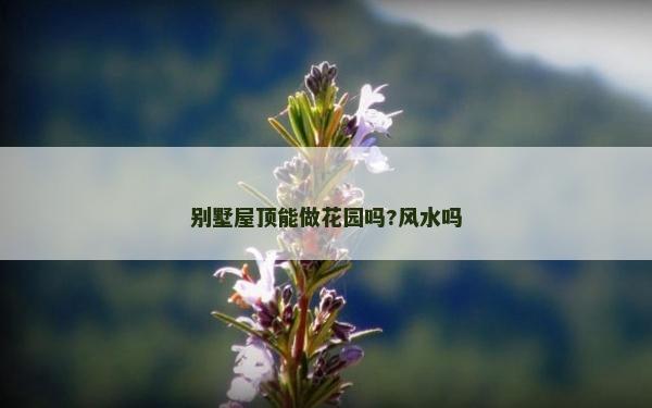 別墅屋頂能做花園嗎?風水嗎