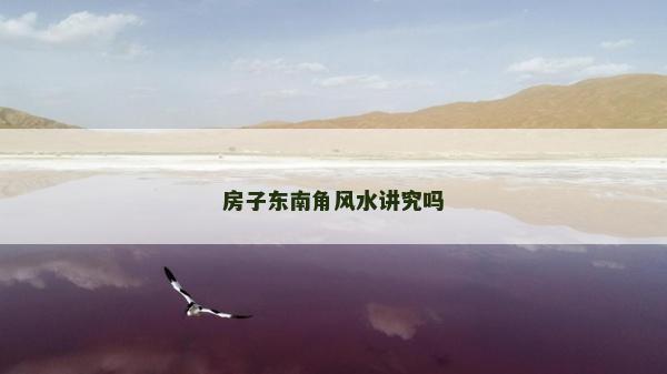 房子東南角風水講究嗎