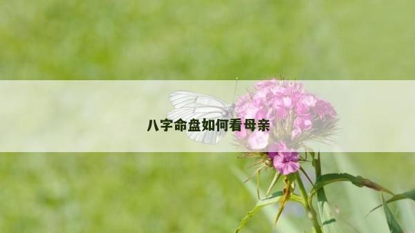 八字命盤如何看母親