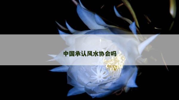中國承認風水協會嗎