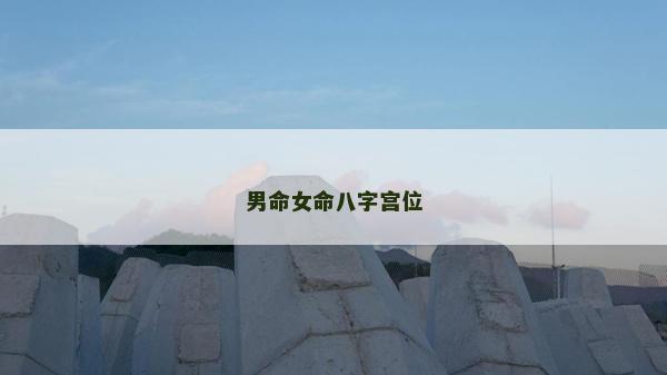 男命女命八字宮位 男命女命八字宮位